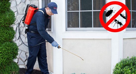 Karatay Bit İlaçlama böcek ilaçlama ve haşere kontrolü — ilaclama-tr.com